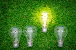 Nachhaltige Startups im Trend